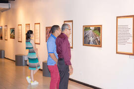 Mostra Cultural - TJ-9732.jpg