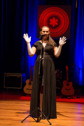 Mostra Cultural - TJ-9924.jpg