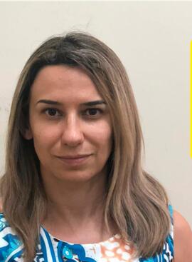 Denise Pipino Figueiredo